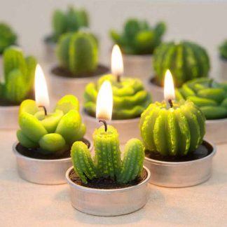 4 Pieces Romantic Cactus Scented Candle