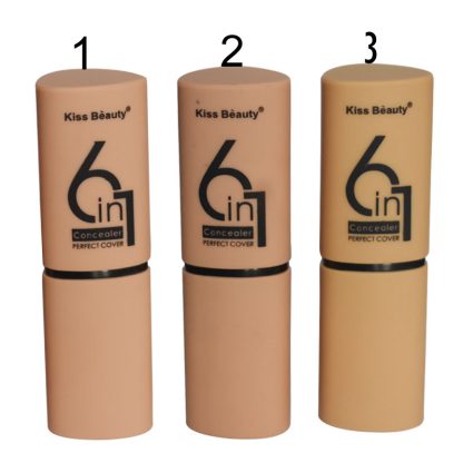 Kiss Beauty 6 in 1 Concealer Perfect Cover