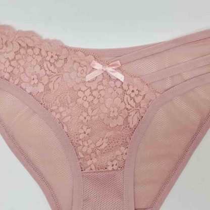 Ladies Lace Panties Nylon Ice Silk Transparent Low Rise Briefs Women Underwear
