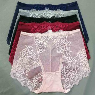 Yiweinu Women's Net Lace Design Under Wear