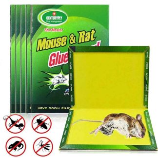 Mouse rat bonding green killer China trap 3 pc