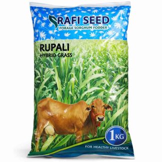 Rupali Hybrid Grass Seed - 1kg