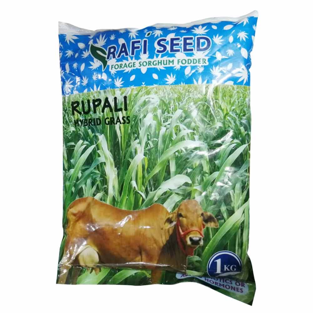 Rupali Hybrid Grass Seed 1kg