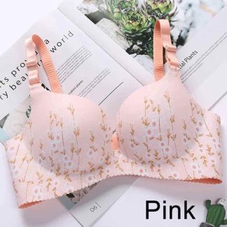 Striped Floral Printed Mini Bra, Pink, Size – 34