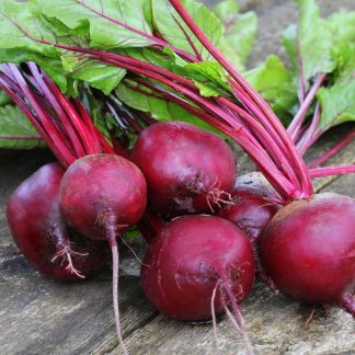 Beet Root Seeds Re-Pack F1 Hybrid (Indian) 0.1gm