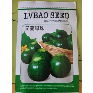 Green Ball Squash (LVBAO SEED)
