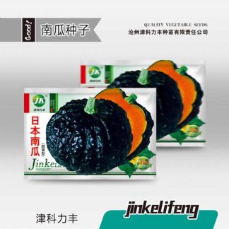 Japanese Pumpkin Seeds, China Intake Packet - 5g