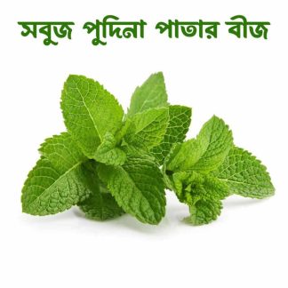 All Season Green Pudina Seeds 30 pic