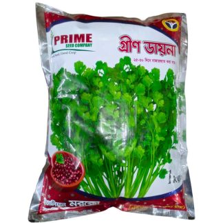Green Diana High Quality Coriander Seeds
