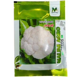 Hat Cata Fulkopi Posalie