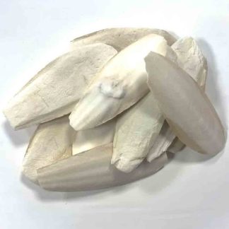 Cuttlefish Bone For Bird - 50gm