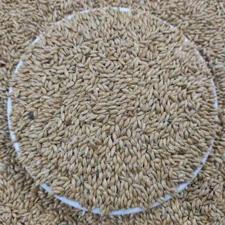 Natural Canary Seeds For Birds - 1kg