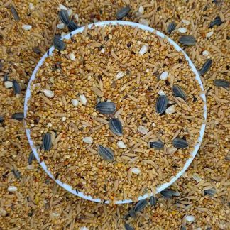 Seed Mix For Bird (Regular) - 1kg