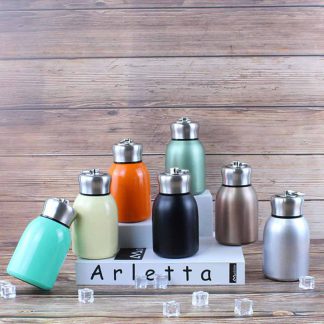 Leakproof Portable Modern Thermal Drinking Bottle